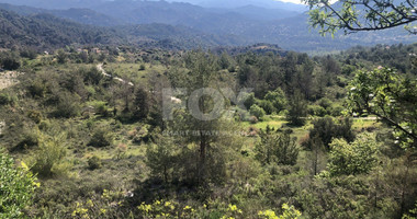 Land For Sale In Pera Pedi Limassol Cyprus