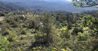 Land For Sale In Pera Pedi Limassol Cyprus