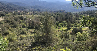 Land For Sale In Pera Pedi Limassol Cyprus