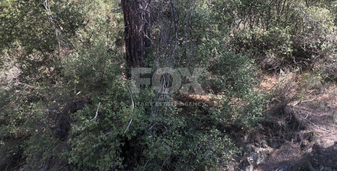 Land For Sale In Pera Pedi Limassol Cyprus