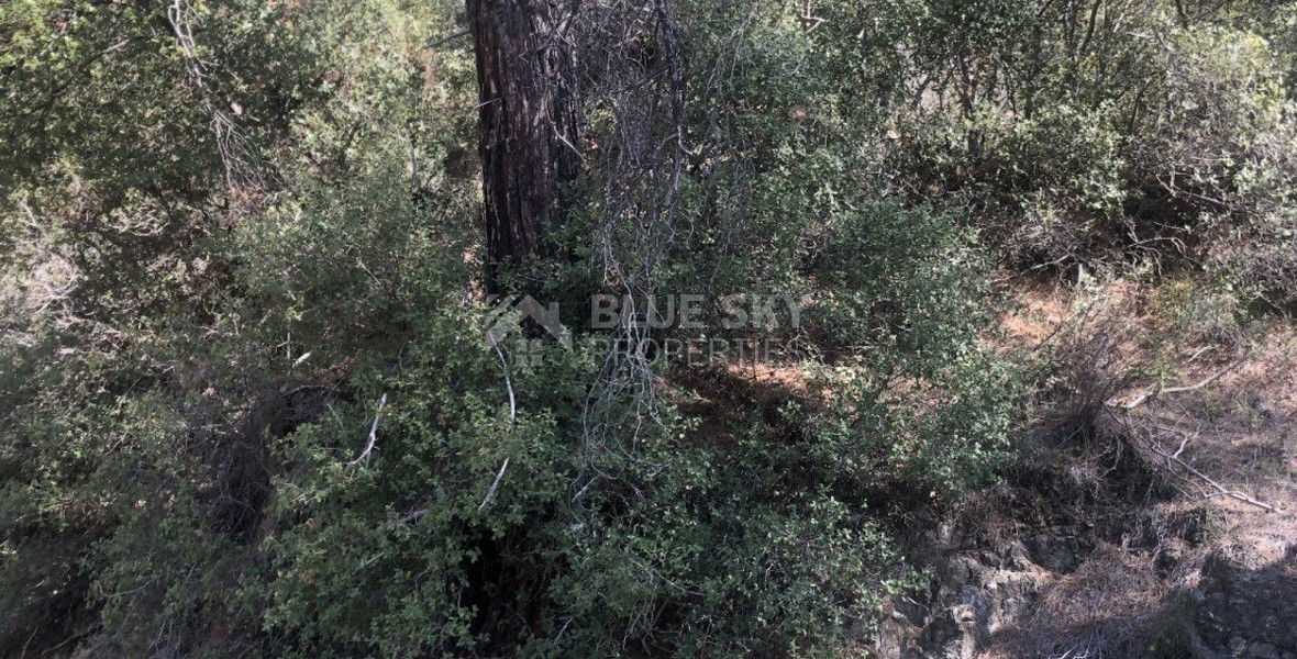 Land For Sale In Pera Pedi Limassol Cyprus