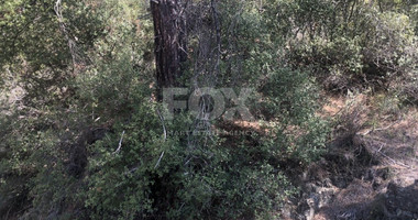 Land For Sale In Pera Pedi Limassol Cyprus