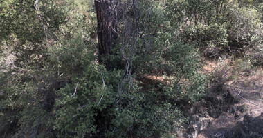 Land For Sale In Pera Pedi Limassol Cyprus