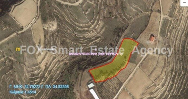 Land For Sale In Vasa Koilaniou Limassol Cyprus