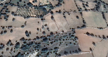 Land For Sale In Anogyra Limassol Cyprus