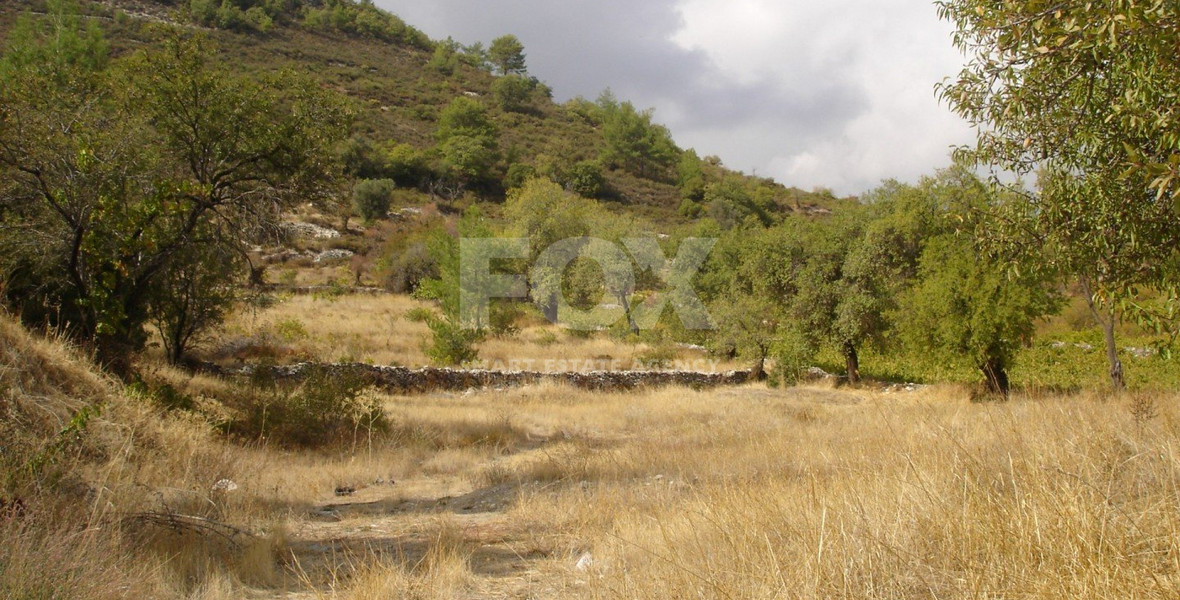 Land For Sale In Pera Pedi Limassol Cyprus