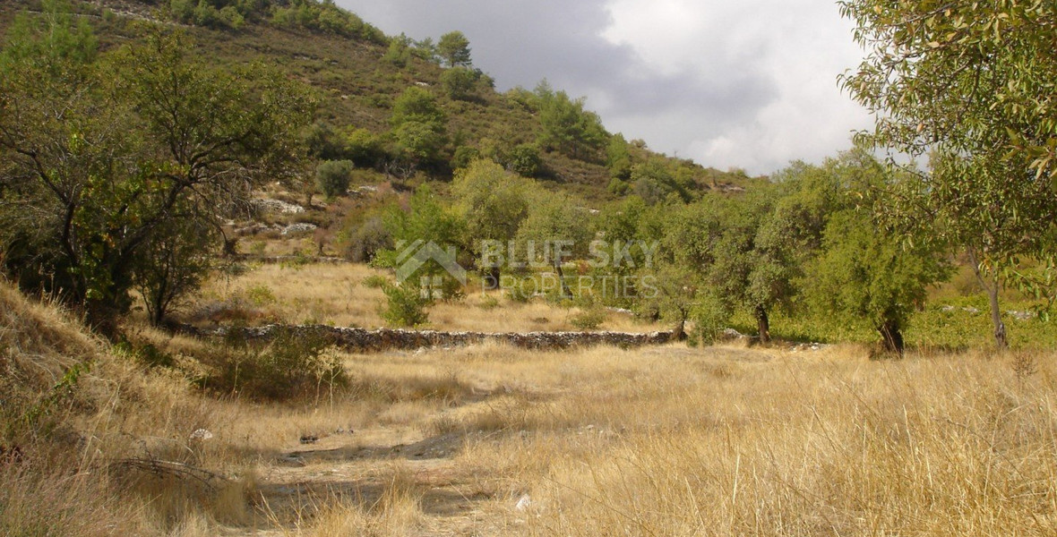 Land For Sale In Pera Pedi Limassol Cyprus