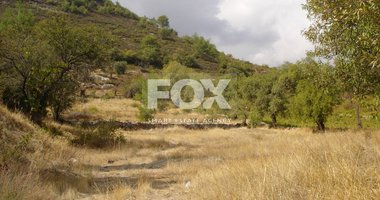 Land For Sale In Pera Pedi Limassol Cyprus