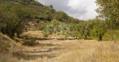 Land For Sale In Pera Pedi Limassol Cyprus