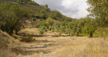 Land For Sale In Pera Pedi Limassol Cyprus