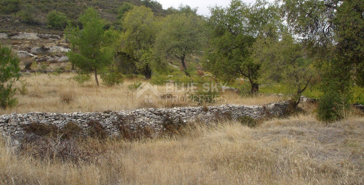 Land For Sale In Pera Pedi Limassol Cyprus