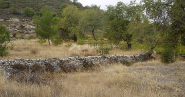 Land For Sale In Pera Pedi Limassol Cyprus