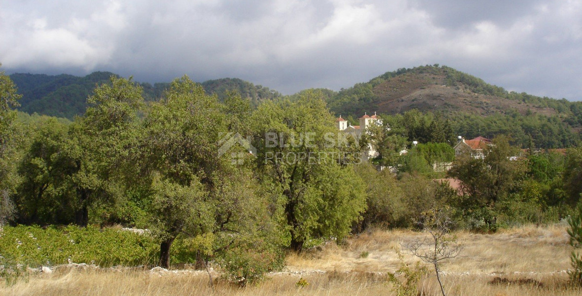 Land For Sale In Pera Pedi Limassol Cyprus