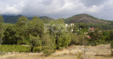 Land For Sale In Pera Pedi Limassol Cyprus