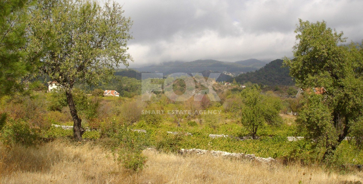 Land For Sale In Pera Pedi Limassol Cyprus