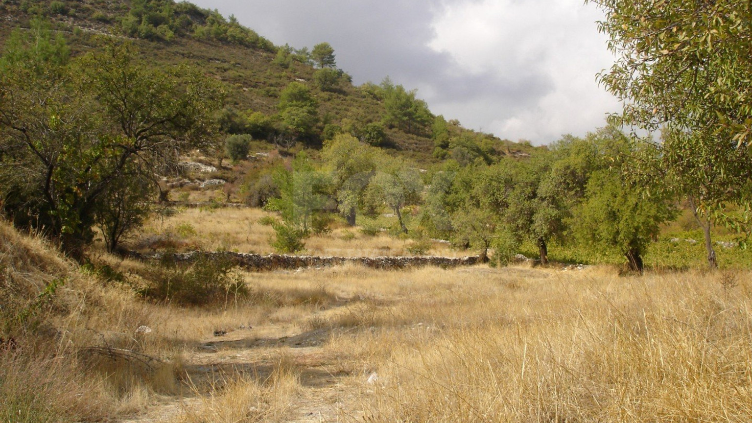 Land For Sale In Pera Pedi Limassol Cyprus