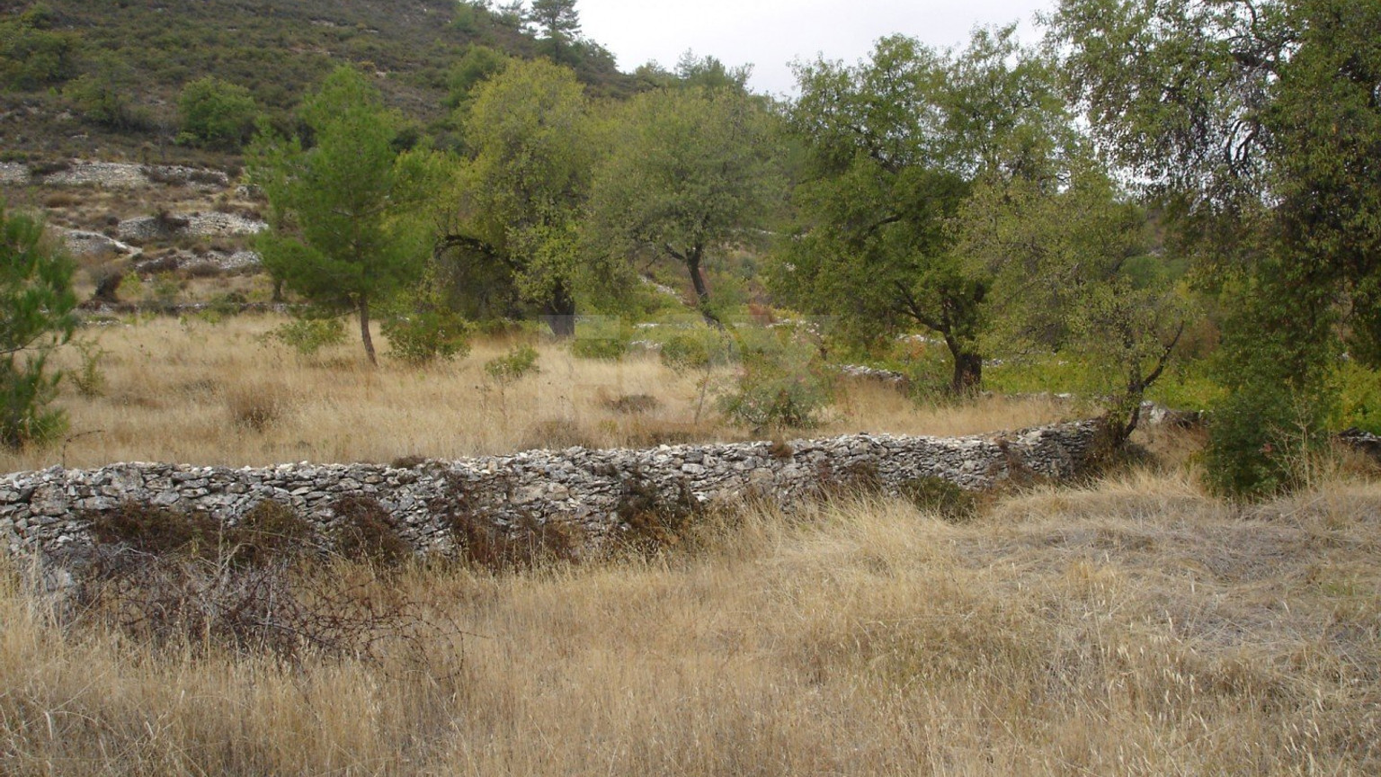 Land For Sale In Pera Pedi Limassol Cyprus