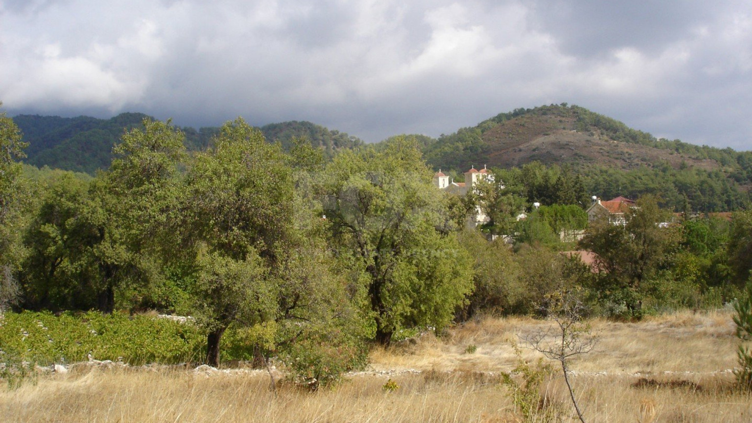 Land For Sale In Pera Pedi Limassol Cyprus