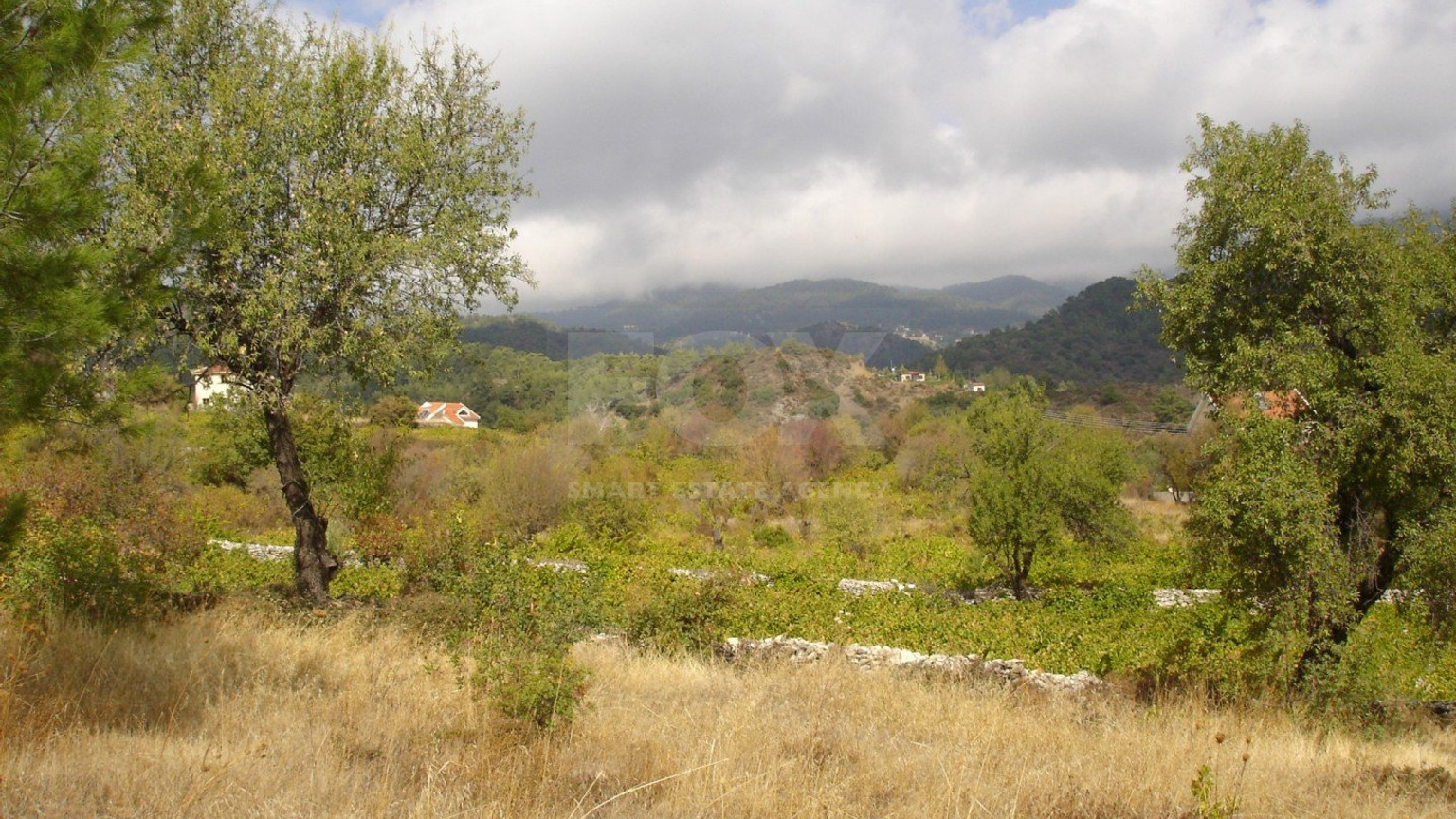 Land For Sale In Pera Pedi Limassol Cyprus