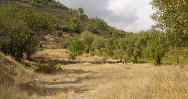 Land For Sale In Pera Pedi Limassol Cyprus