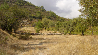 Land For Sale In Pera Pedi Limassol Cyprus