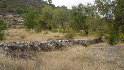 Land For Sale In Pera Pedi Limassol Cyprus