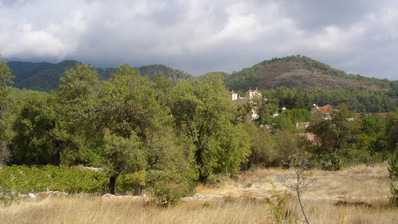 Land For Sale In Pera Pedi Limassol Cyprus