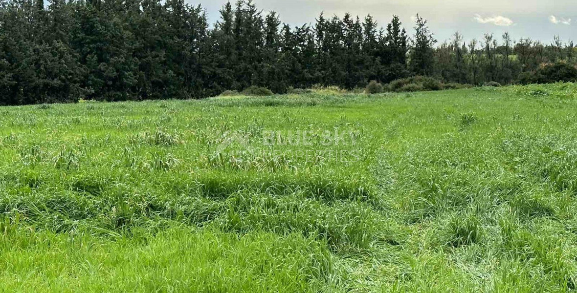 Land in Nikokleia Paphos Cyprus