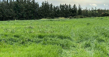 Land in Nikokleia Paphos Cyprus