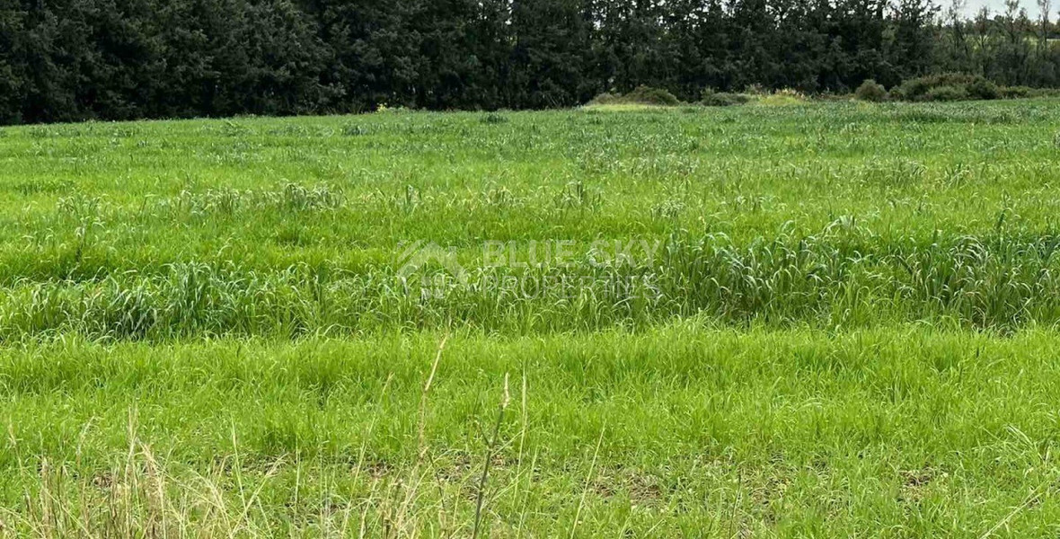 Land in Nikokleia Paphos Cyprus