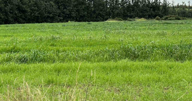 Land in Nikokleia Paphos Cyprus