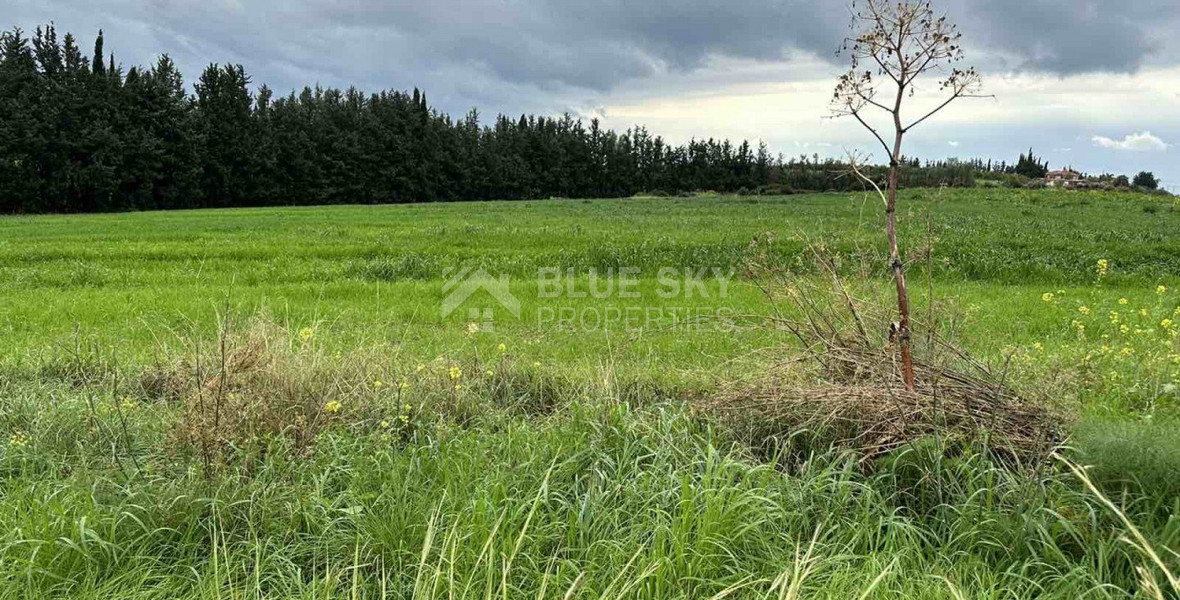 Land in Nikokleia Paphos Cyprus