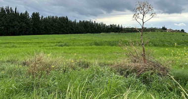 Land in Nikokleia Paphos Cyprus