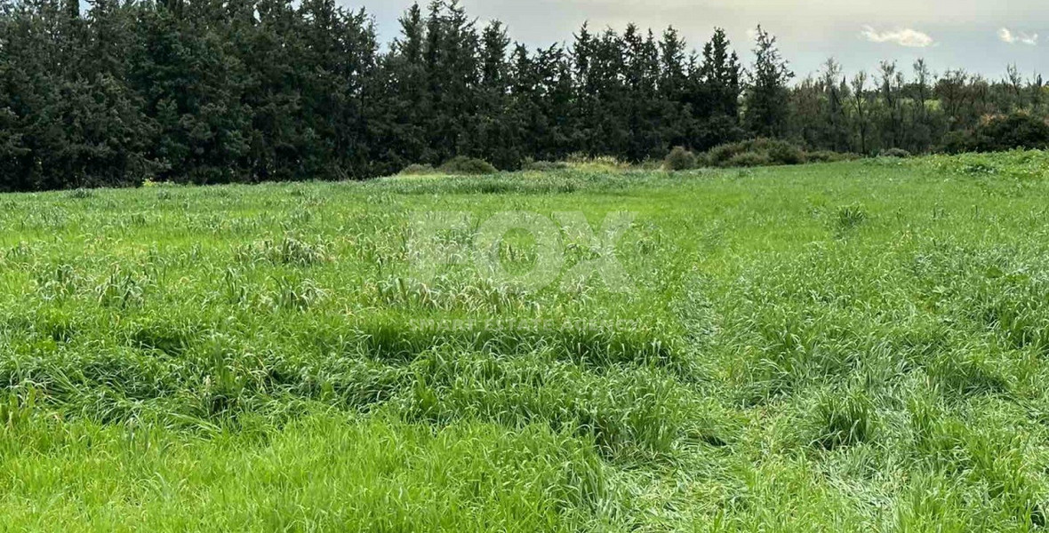 Plot For Sale In Nikokleia Paphos Cyprus