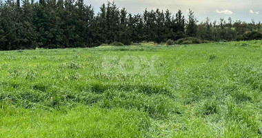 Plot For Sale In Nikokleia Paphos Cyprus