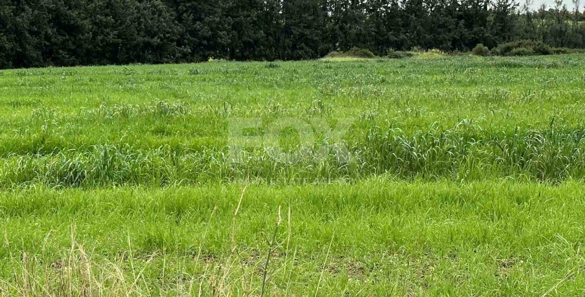 Plot For Sale In Nikokleia Paphos Cyprus