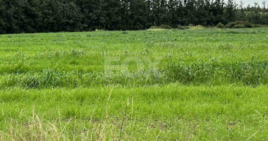 Plot For Sale In Nikokleia Paphos Cyprus