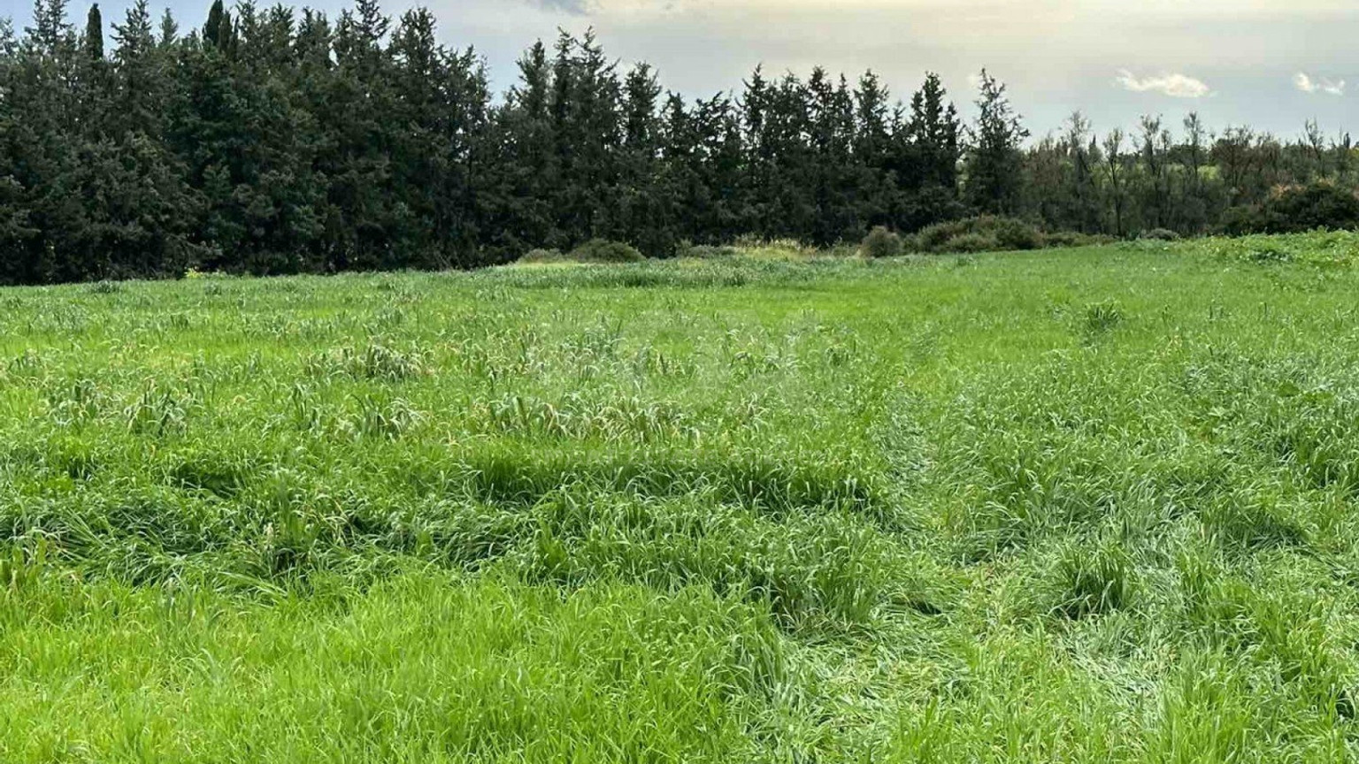 Plot For Sale In Nikokleia Paphos Cyprus
