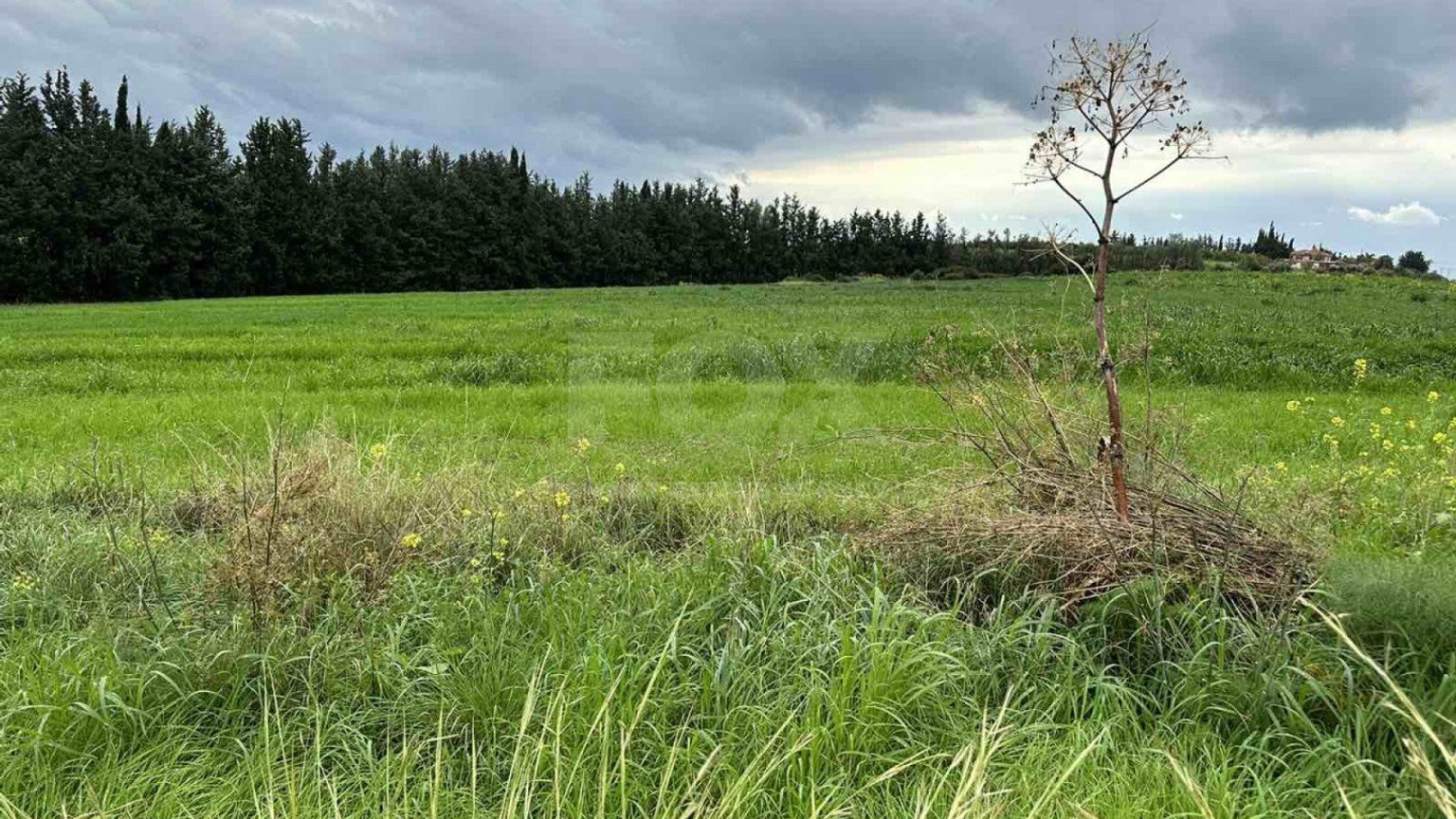 Plot For Sale In Nikokleia Paphos Cyprus