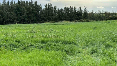 Plot For Sale In Nikokleia Paphos Cyprus