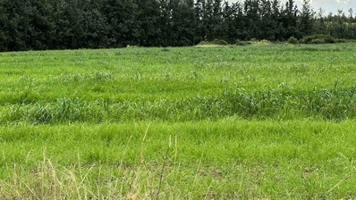 Plot For Sale In Nikokleia Paphos Cyprus