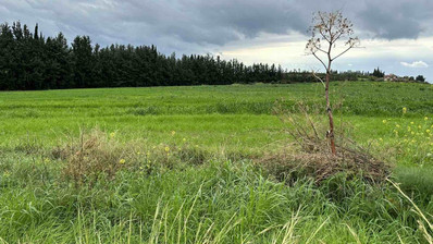 Plot For Sale In Nikokleia Paphos Cyprus