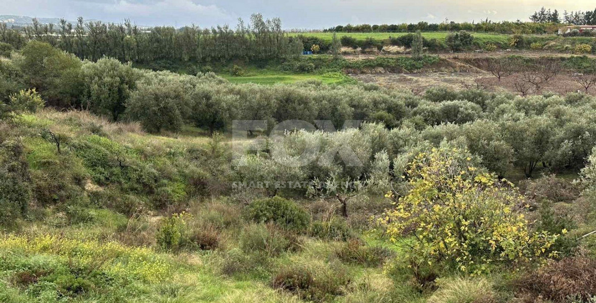 Land For Sale In Nikokleia Paphos Cyprus