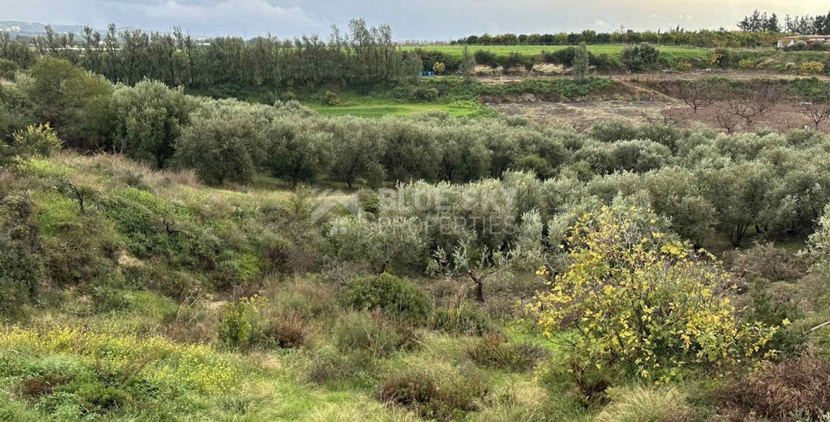 Land For Sale In Nikokleia Paphos Cyprus