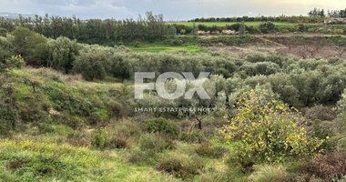 Land For Sale In Nikokleia Paphos Cyprus
