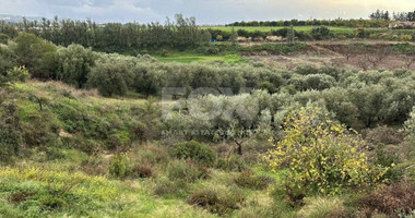 Land For Sale In Nikokleia Paphos Cyprus