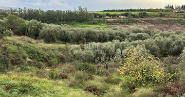 Land For Sale In Nikokleia Paphos Cyprus