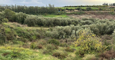 Land For Sale In Nikokleia Paphos Cyprus