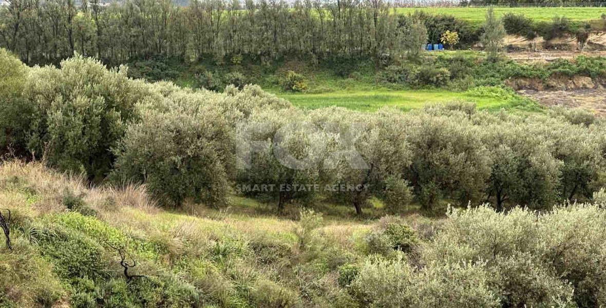 Land For Sale In Nikokleia Paphos Cyprus