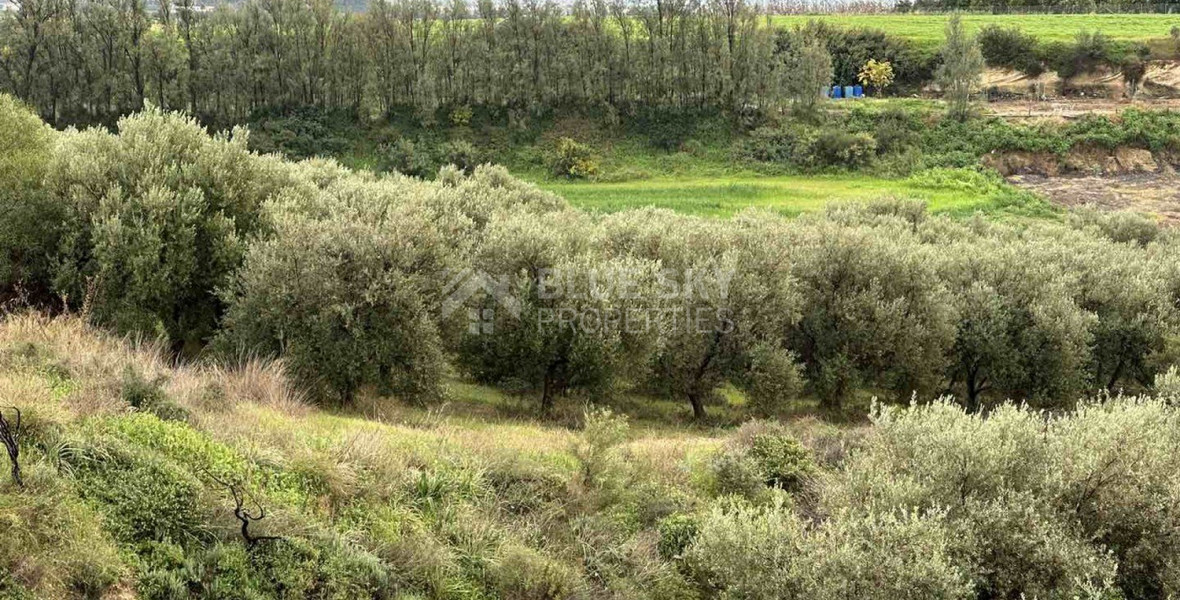 Land For Sale In Nikokleia Paphos Cyprus